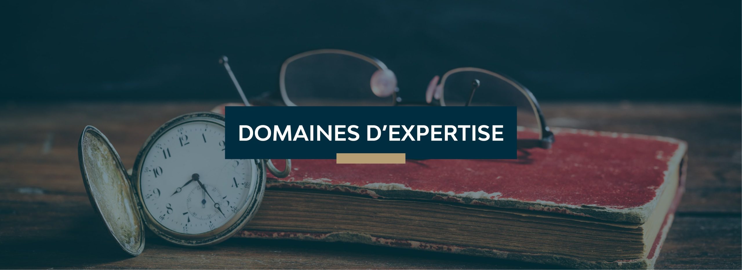 Domaines d`expertise