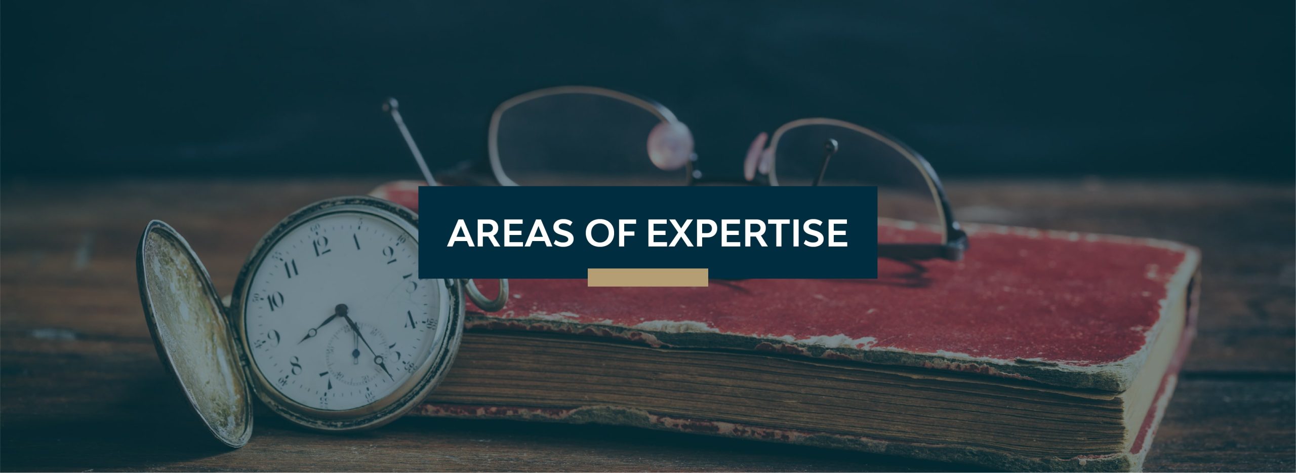 Areas of Expertise